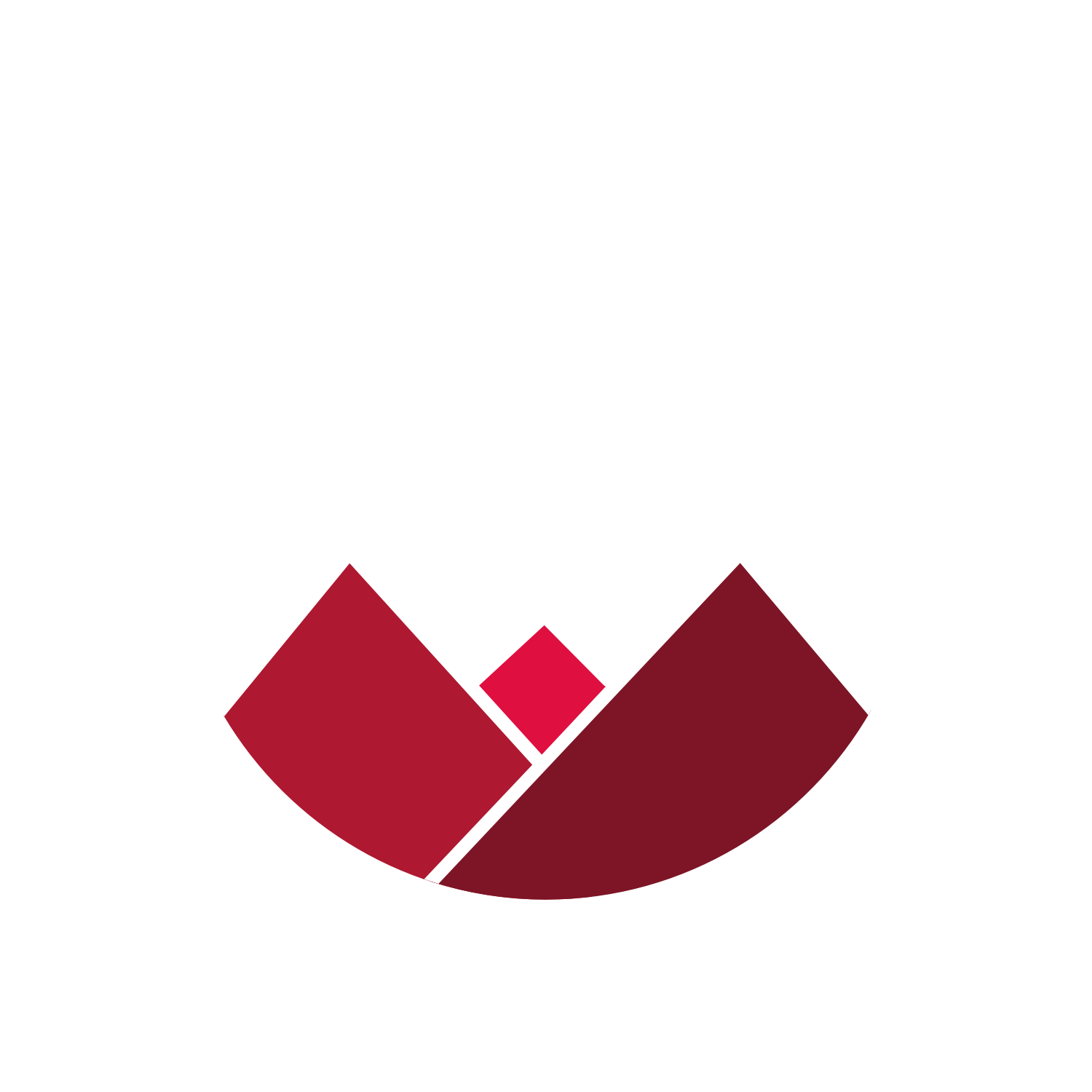 Logo Badminton Association de Frangy